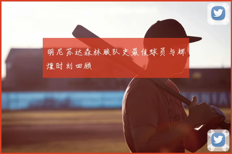 明尼苏达森林狼队史最佳球员与辉煌时刻回顾