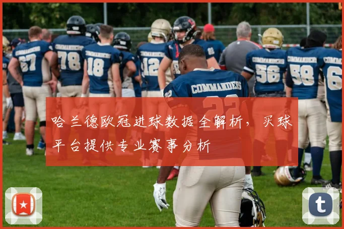 哈兰德欧冠进球数据全解析,买球平台提供专业赛事分析