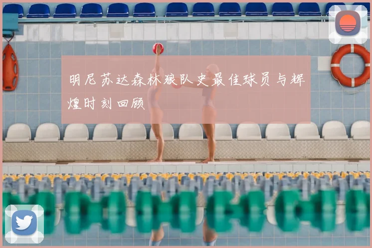 明尼苏达森林狼队史最佳球员与辉煌时刻回顾