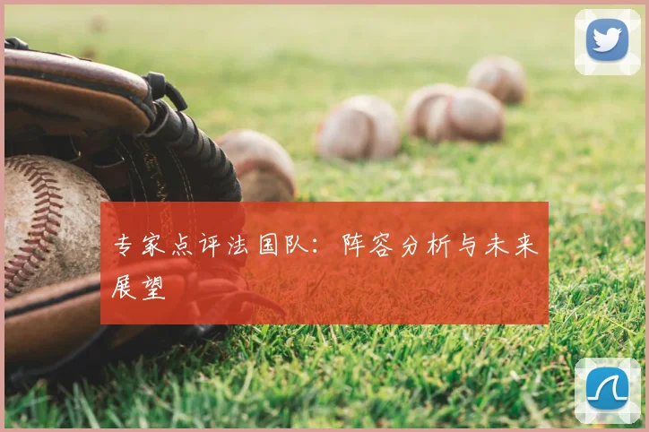 专家点评法国队:阵容分析与未来展望